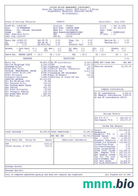 Szablon Wisdom Bridge Management Consultants payslip w formatach Word i PDF, 3